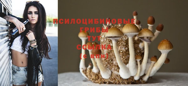 стафф Баксан
