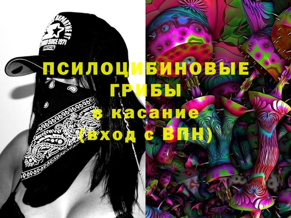 стафф Баксан