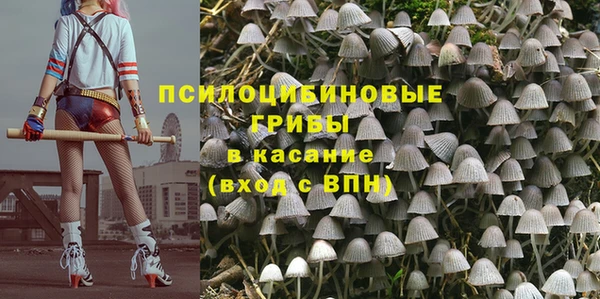стафф Баксан