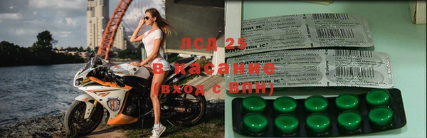 стафф Баксан